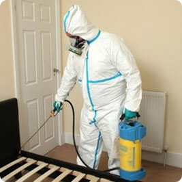 Anti-Germs Services